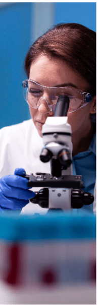 JointBreX mechanism of action - joint cartilage and inflammatory support
